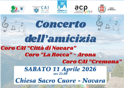CONCERTO DELL’AMICIZIA A NOVARA